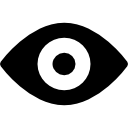 Vision Icon